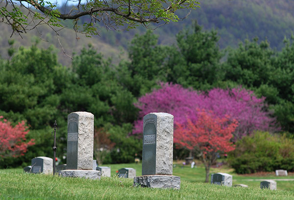 Mountain View Cemetery